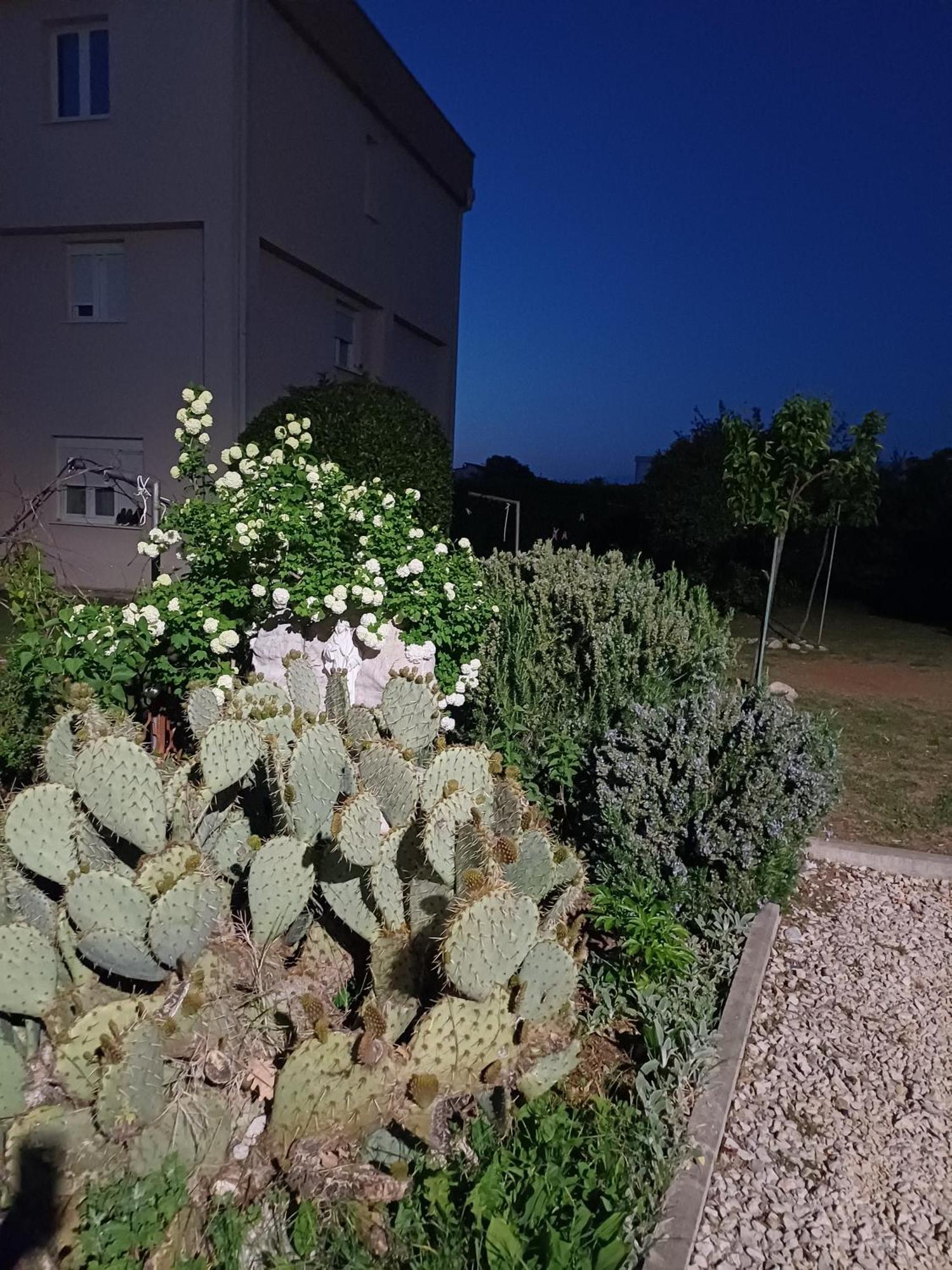 Villa Ana Međugorje Exteriér fotografie
